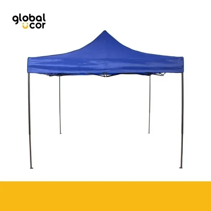 Toldo 3x31