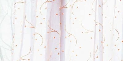 VISILLOS GRUESOS 1ERA 20KG1