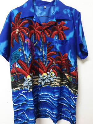 CAMISAS GUAYABERAS 1ERA 20KG1