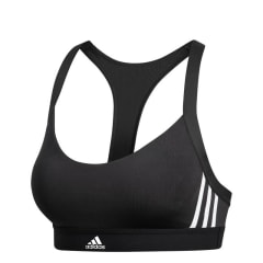PETOS Y SOSTEN DEPORTIVO BOUTIQUE 10KG