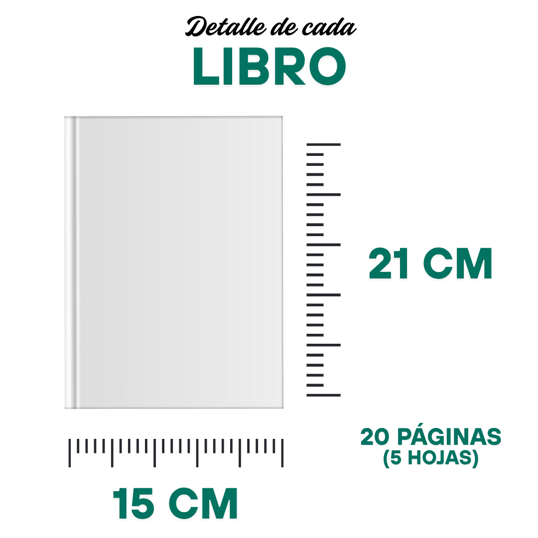 Pack 4 Libros Dinosaurios Para Pintar1