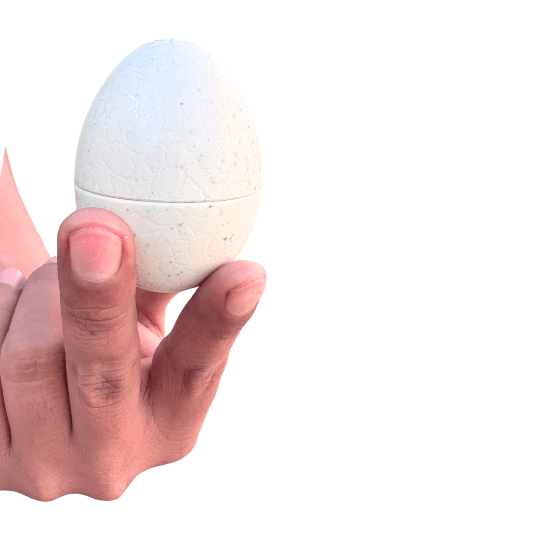 Huevos De Encaje Montessori  Dinosaurios Y Números 12 Un8