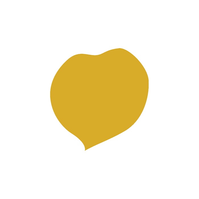 GELUX MUSTARD1