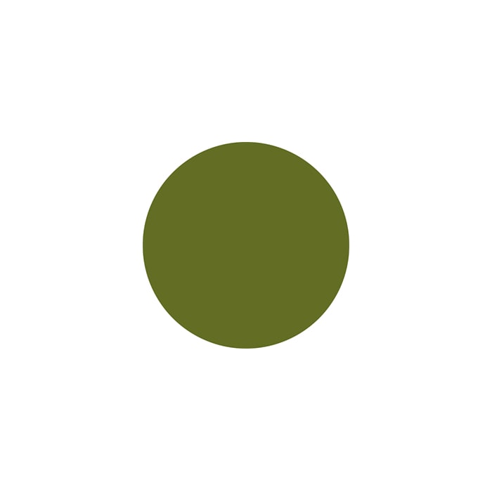 GREEN TEA FRUITY NAIL ART POWDER1