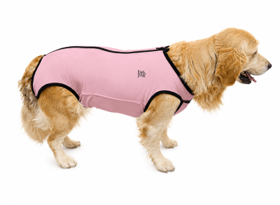 FAJA POST OPERATORIA PERRO HEMBRA PALO ROSA1