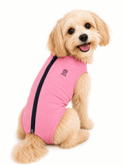 FAJA POST OPERATORIA PERRO HEMBRA PALO ROSA ALGODÓN