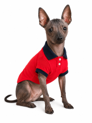 POLO PIQUE ROJO AZUL