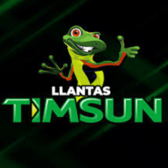 TIMSUN