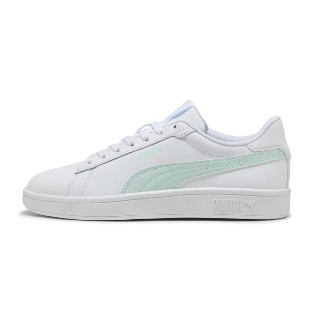 ZAPATILLA PUMA SMASH 3.0 390987-261