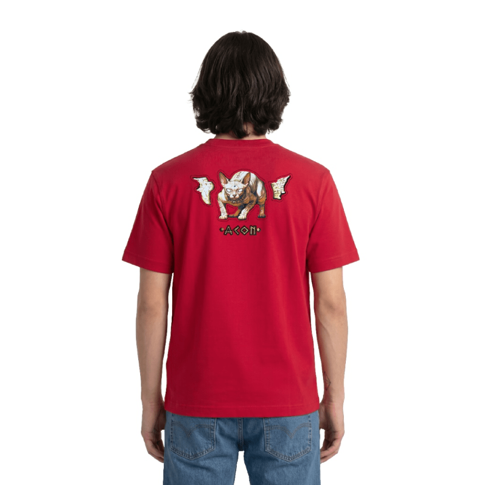 POLO HOMBRE ACON PAPIRO RED2