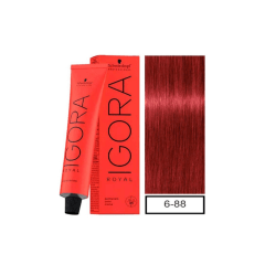 Tintura permanente igora royal 60 ml 6-88