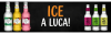 Inicio