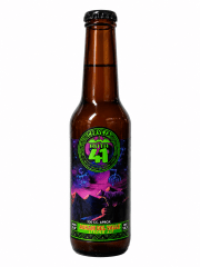 Ruta 41 Aukan Del Valle Strong Ale 7° 330cc