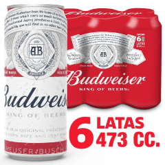Budweiser 5º 470cc 6 Pack