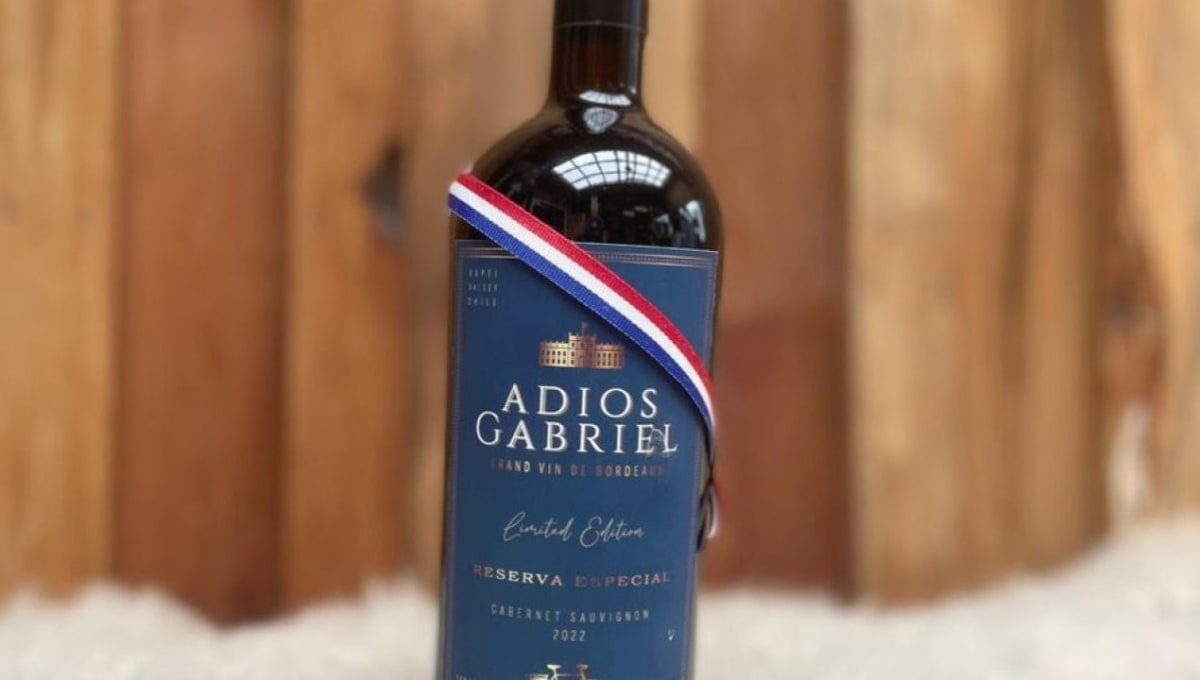 Adiós Gabriel Carmenere Reserva Especial 750ml1