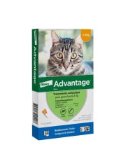 ADVANTAGE GATOS HASTA 4 KG.