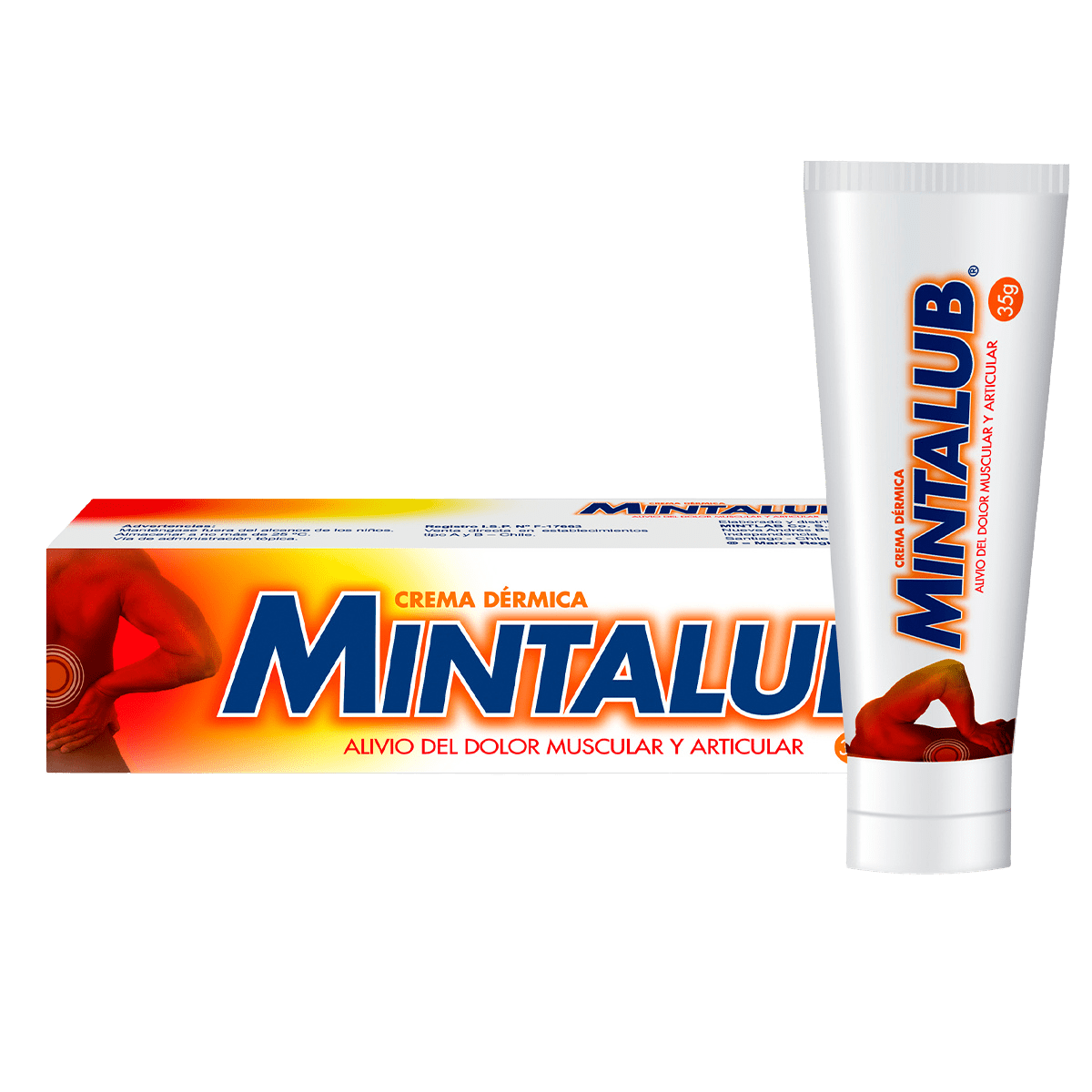 MINTALUB CREMA POMO 35 GR.1