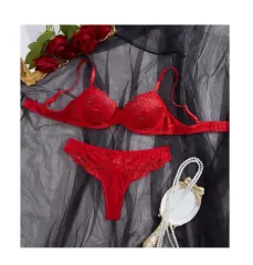 Lencería Sexy Conjunto Dos Piezas Brasier Más Semihilo
