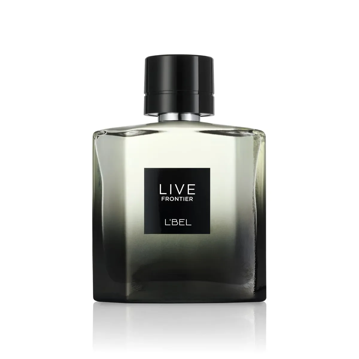 Perfume Live Frontier1
