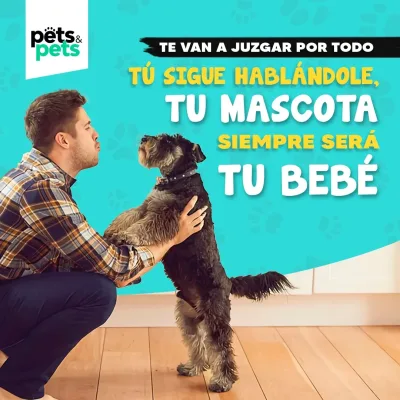Amor por los animales 