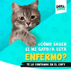 Salud y cuidado