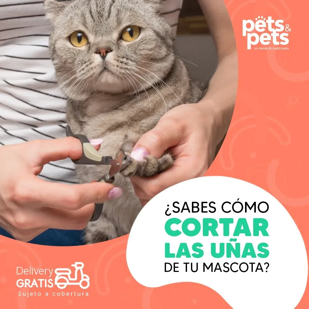 Corte de uñas