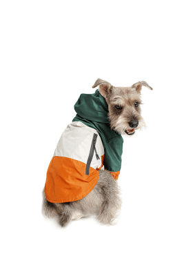 RAINCOAT TRICOLOR GREEN1