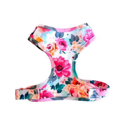 GLAMPET ARNES SHABBY1