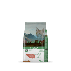 BRAVERY - CHICKEN KITTEN