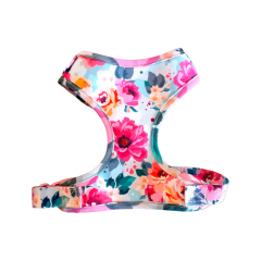 GLAMPET ARNES SHABBY