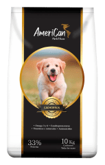 AMERICAN CACHORRO