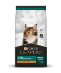 PRO PLAN CAT KITTEN