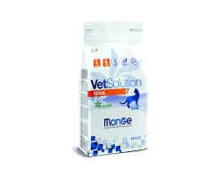 MONGE FELINE RENAL