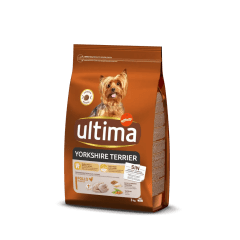 ULTIMA YORKSHIRE TERRIER CON POLLO