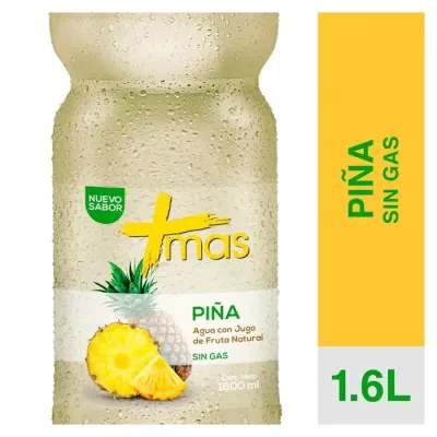 Cachantun Más Piña 1,6 L1