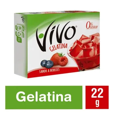Gelatina Para Preparar Vivo Berries 22 g1