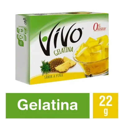 Gelatina Vivo Piña1