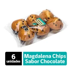 Magdalena Chips Chocolate Pulmahue