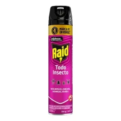 Raid Todo Insecto 306Cc