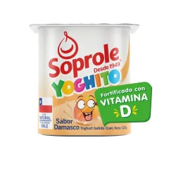 Yoghito Damasco 120 g Soprole