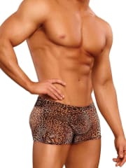 MalePower  Animal