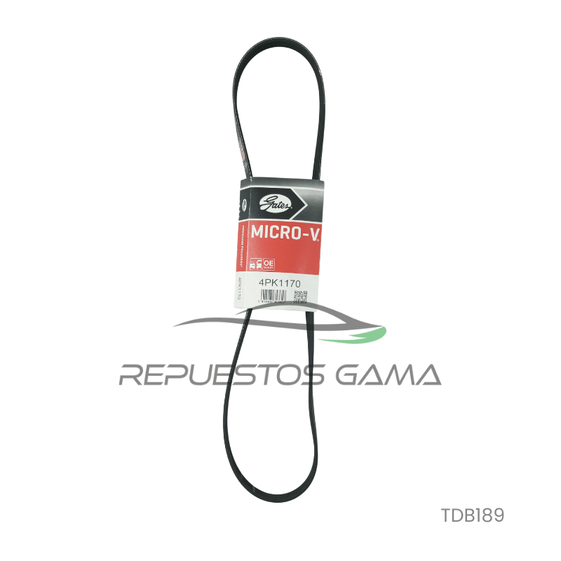 Correa Acccesorios Toyota Rav4 2.4 2016/20121