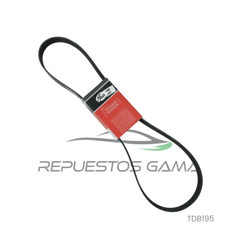 Correa Accesorios Toyota Rav4 2.0 2012/20232