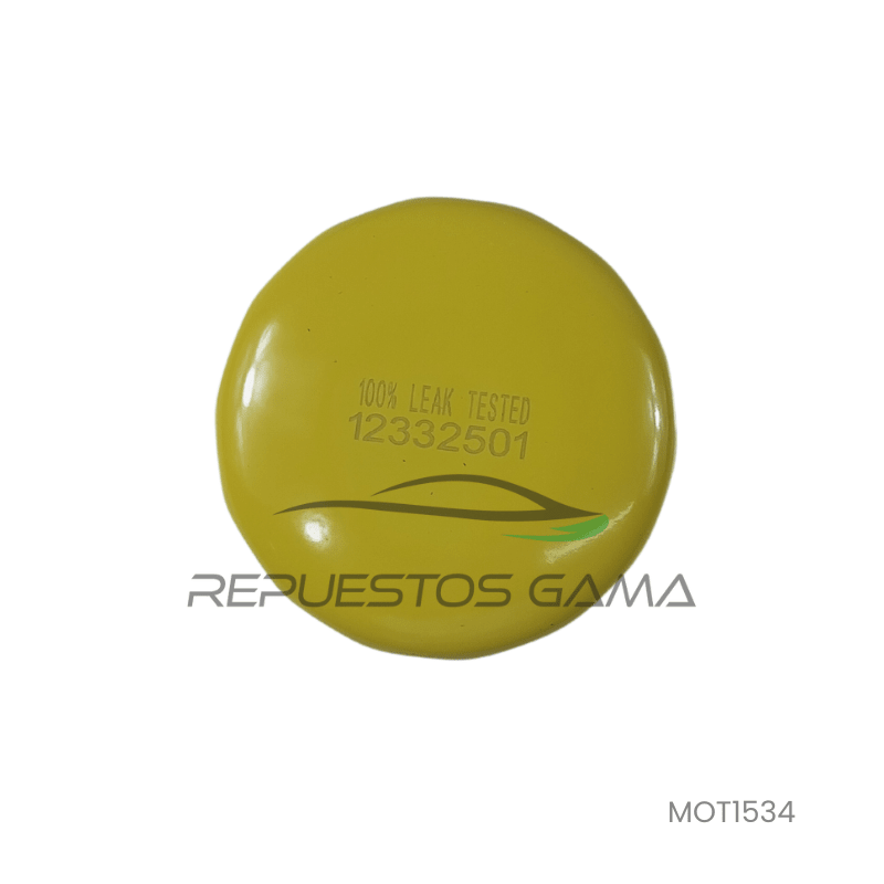 Filtro Aceite CX5 2.0 2012/2024 RG-MOT15343