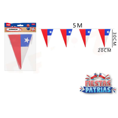 Guirnalda Bandera Triangulo 5 metros
