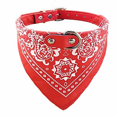 COLLAR MASCOTA PAÑUELO COLLAR MASCOTA PAÑUELO