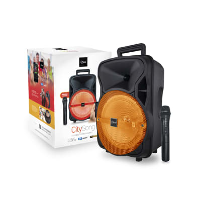 Parlante CitySong Micrófono Inalambrico Mlab1