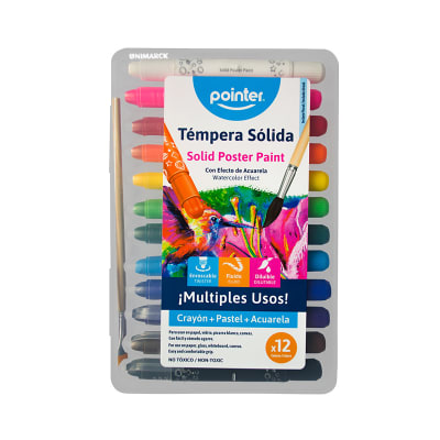 Tempera Sólida Pointer 12 Colores