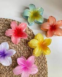 Ganchetas Hawaianas