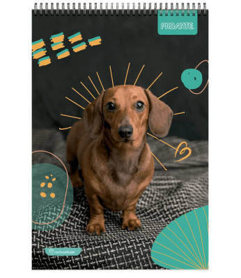 Croquera Animales Oficio Proarte1